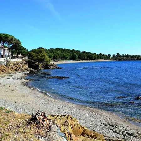Atico Excepcional Frente Al Mar En Sant Carles, - Costa Brava - Es-170-40 Llanca